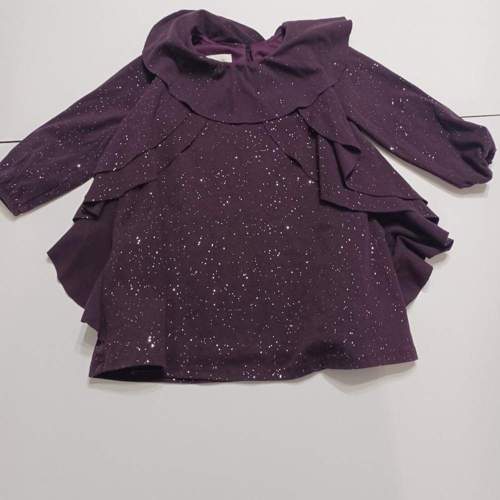 Isobella & Chloe Girl 3T Dress Purple Long Sleeve Sparkles Ruffles Lined Stretch